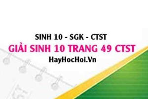 Giải Sinh 10 trang 49 Chân trời sáng tạo SGK